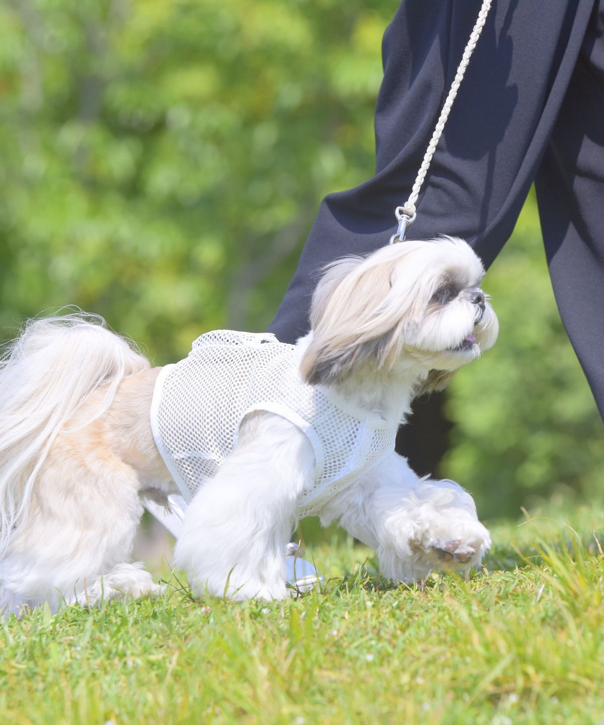 犬貓專用空調涼感衣【獸醫師監製】