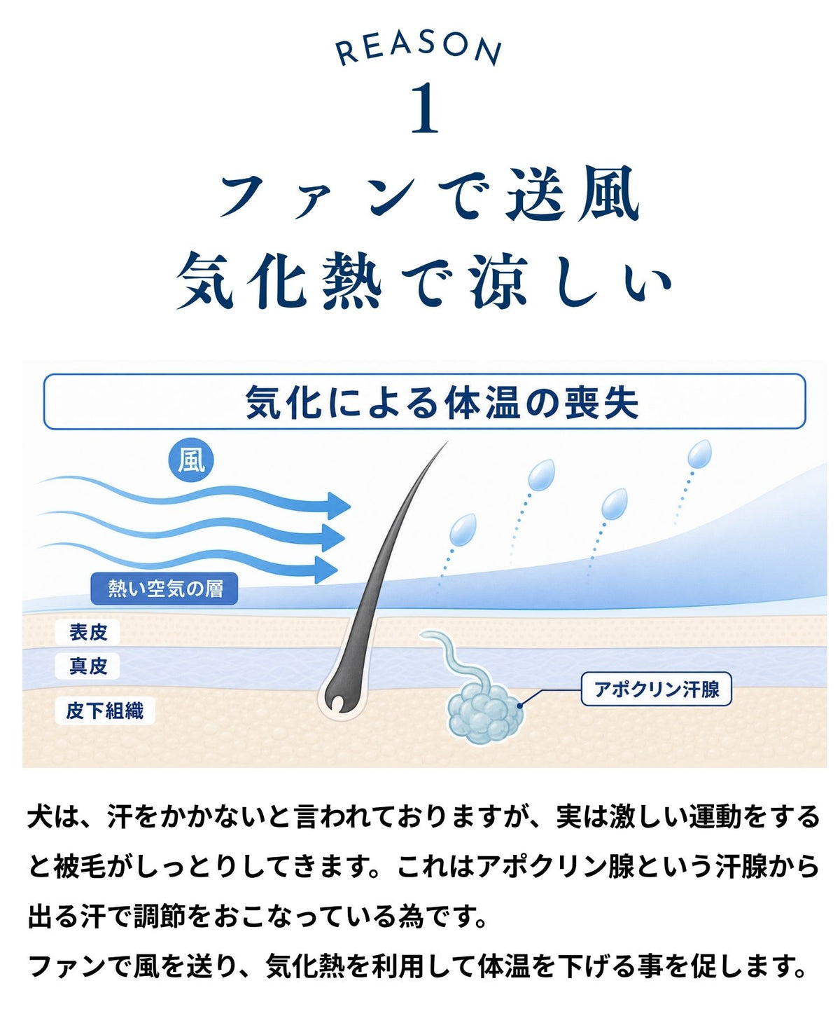 犬貓專用空調涼感衣【獸醫師監製】