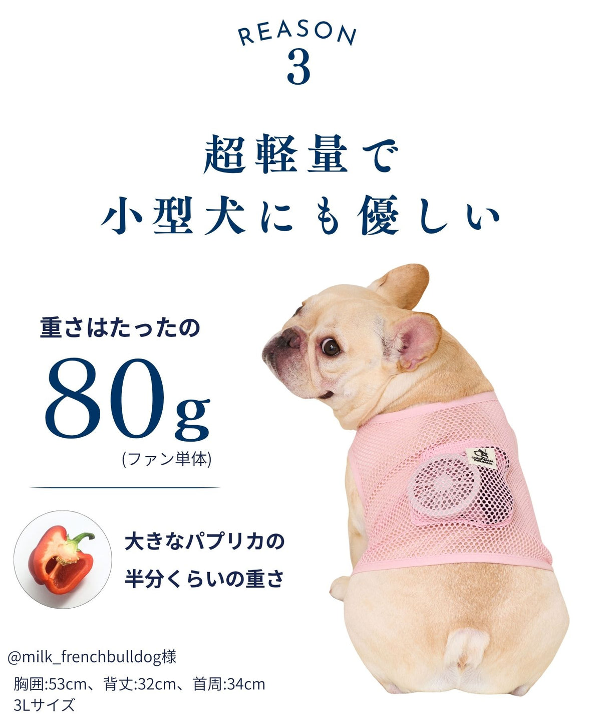 犬貓專用空調涼感衣【獸醫師監製】