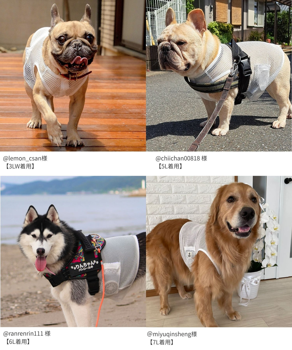 犬貓專用空調涼感衣【獸醫師監製】