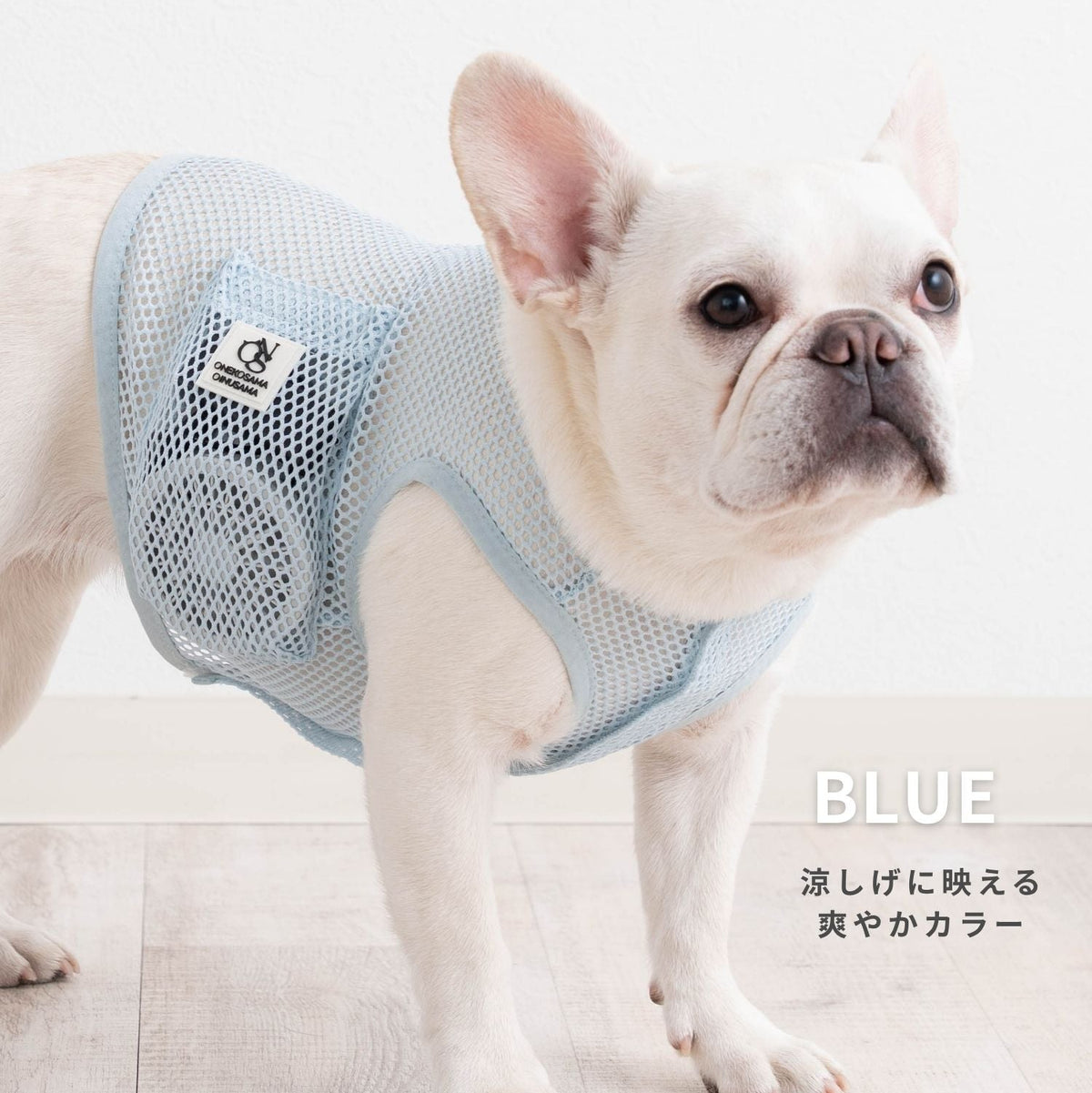 犬貓專用空調涼感衣【獸醫師監製】