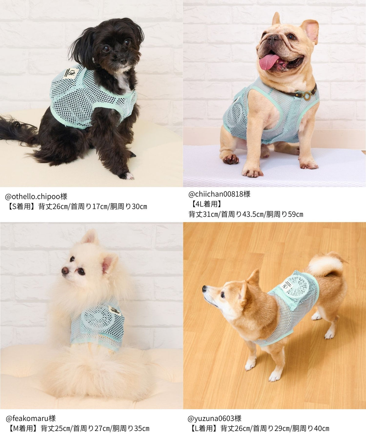 犬貓專用空調涼感衣【獸醫師監製】