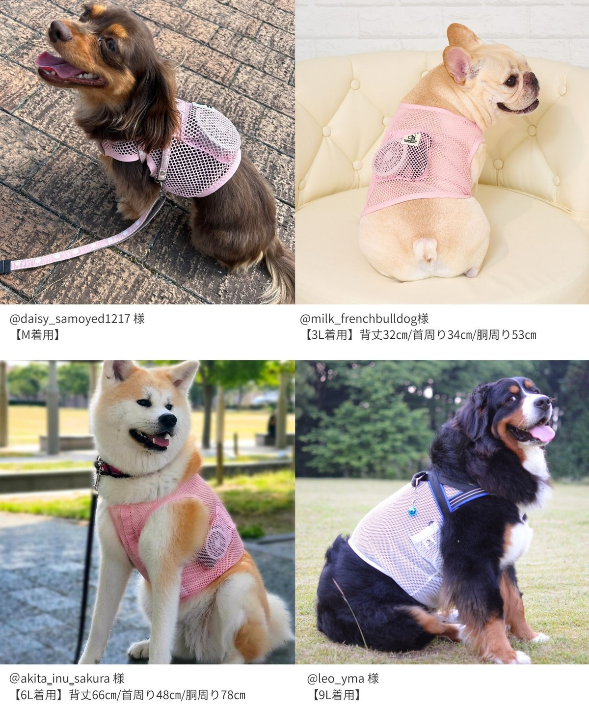 犬貓專用空調涼感衣【獸醫師監製】
