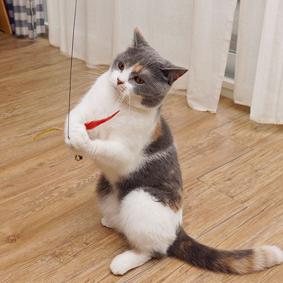 FLYING CAT 彩色羽毛釣逗貓釣竿