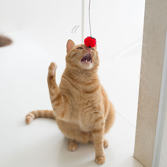 FLYING CAT 瓢蟲逗貓釣竿