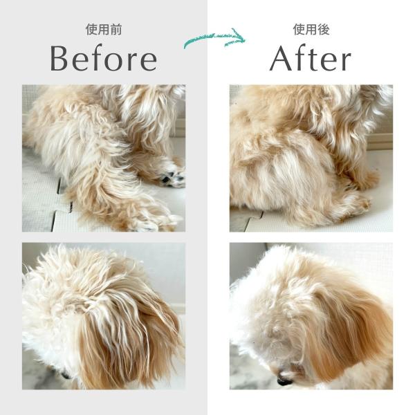 泡沫型免沖洗寵物洗毛精