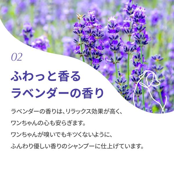 泡沫型免沖洗寵物洗毛精