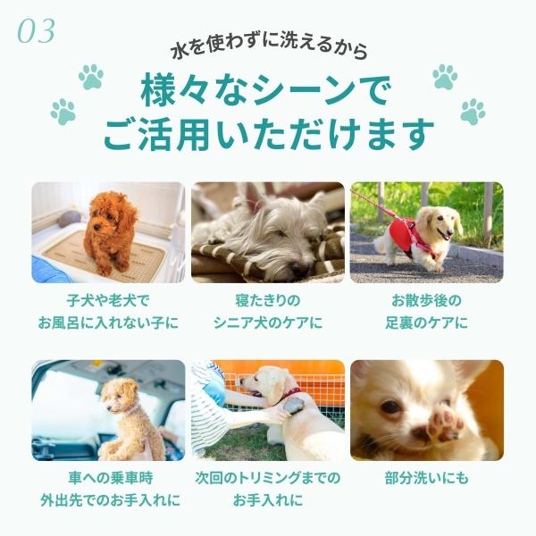 泡沫型免沖洗寵物洗毛精